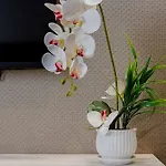 Salina Luxury 3*
