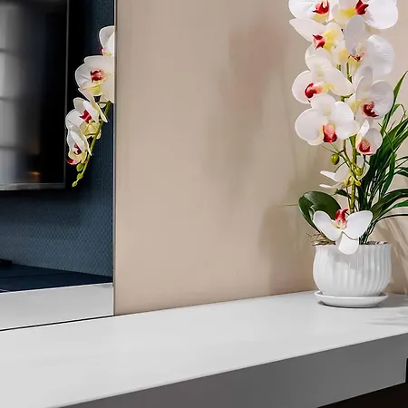 Salina Luxury Parma