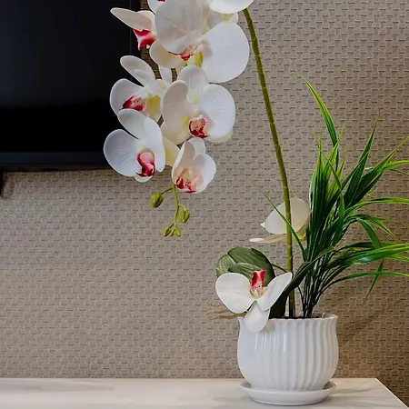 Salina Luxury 3*