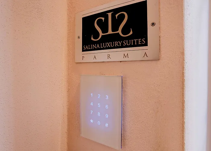 Salina Luxury ゲストハウス パルマ