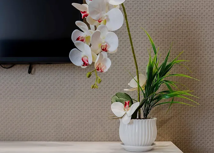 Salina Luxury 3*